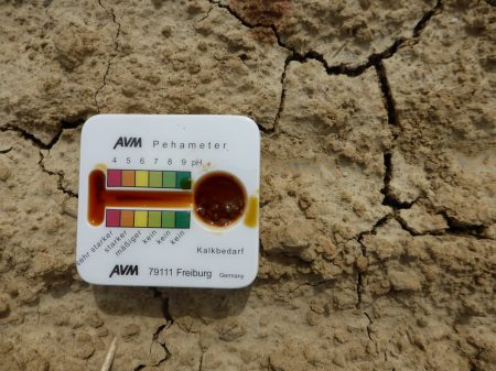 soil crust and low pH